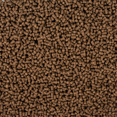 1593777938490786_388344